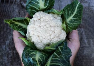 Cauliflower Jesi 1 1 scaled