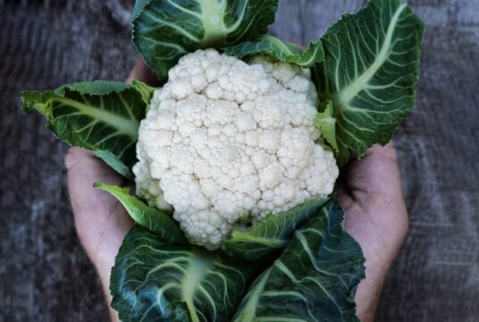 Cauliflower Jesi 1 1 scaled