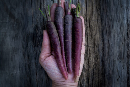 Cover Carrot Black Nebula She Grows Vegs