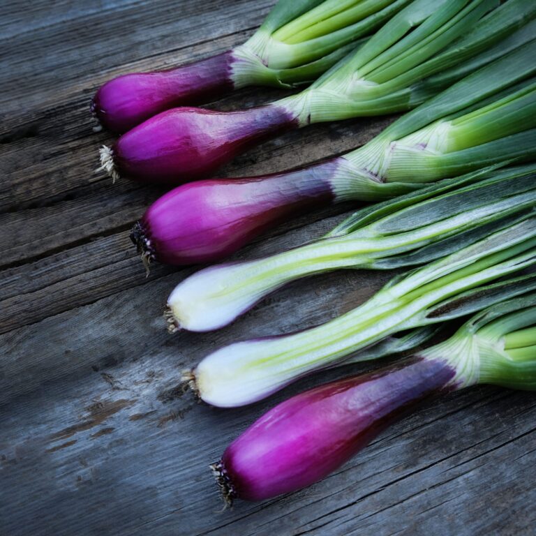 Onion Red Bunching 1 scaled