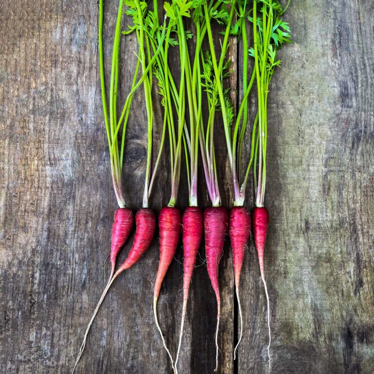 Carrot Cosmic Purple 1 scaled