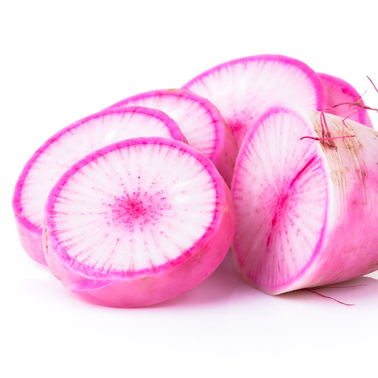Radish Pink Pussycat cover shutterstock_381690487