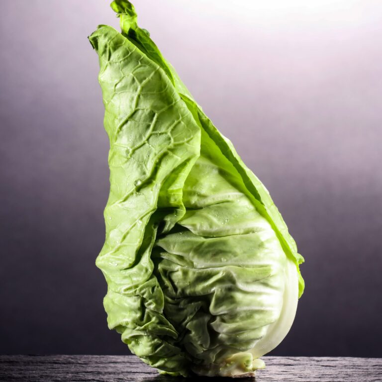Cabbage Filderkraut cover scaled