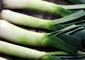 Leek Blue De Solaise cover shutterstock_2428421461 1 scaled