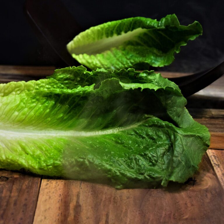Cover Lettuce Arcade CU8MdyE4pG4 unsplash 1 scaled
