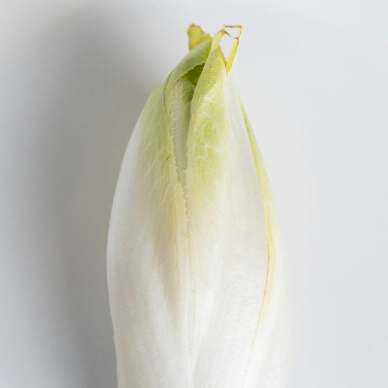 christine wskc4I_WZGc unsplash scaled e1746609163983