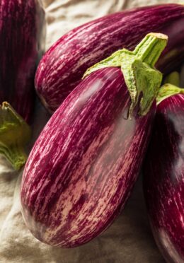 Aubergine Marble Jewel cover 1466850572 scaled