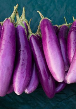 Aubergine Lilac Wand