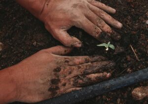 what to sow july unsplash cover scaled 1