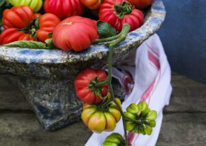 Tomato Mushroom Basket LAH _DSF1570 scaled 1