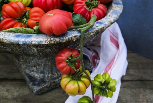 Tomato Mushroom Basket LAH _DSF1570 scaled 1