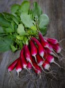 Spring Radish 18 Day LAH 2024 web_DSF4636 scaled