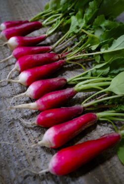 Spring Radish 18 Days LAH 2024 web_DSF4648 scaled