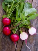 Spring Radish Giant Butter LAH 2025 web_DSF4673 scaled