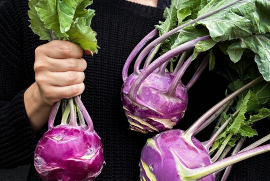 Kohl Rabi Dyna LAH 2025 web IMG_1356 scaled