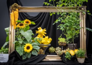 SheGrowsVegHazelGardiner_RHSChelsea2024_EllieWalpole 13