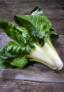 Swiss Chard Barese LAH 2025 web _DSF5069 scaled