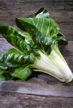 Swiss Chard Barese LAH 2025 web _DSF5069 1 scaled