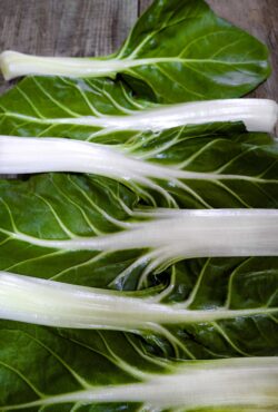 Swiss Chard Barese LAH 2025 web_DSF5077 scaled