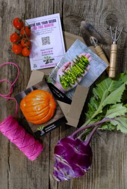 Subscriptions Kids LAH 2025 web_DSF5081 scaled