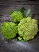 Cauliflower Verdi Di Macerata LAH 2025 web _DSF4684 scaled
