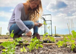 what to sow in october cover