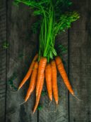 Carrot New Kuroda web unsplash 1 scaled