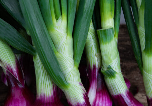 Spring Onion Purplette web2146384199