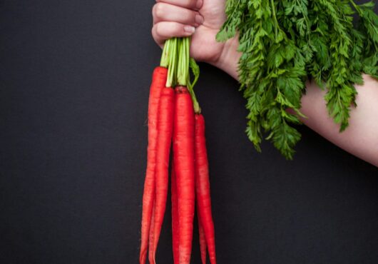 Carrot Kyoto Red web unsplash scaled