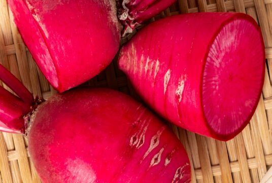 Autumn Radish Red Beauty web 2_2544718375 scaled