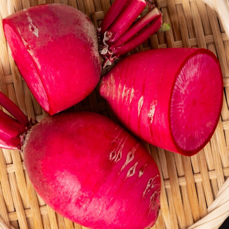 Autumn Radish Red Beauty web 2_2544718375 scaled