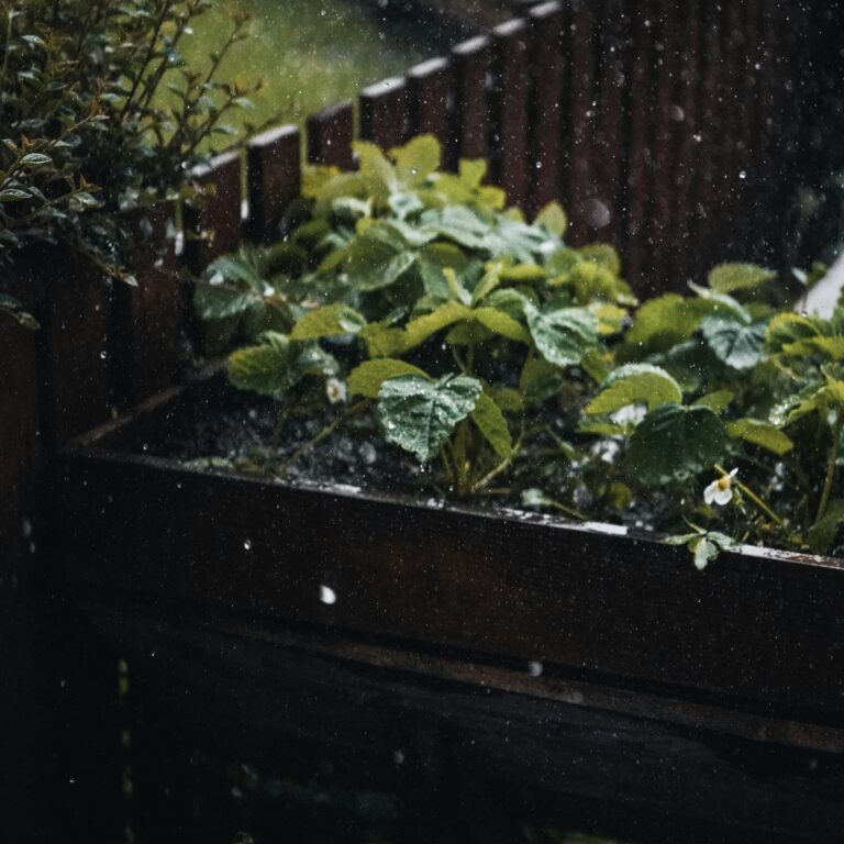 phoebe lynch BZeJDXGae4w unsplash