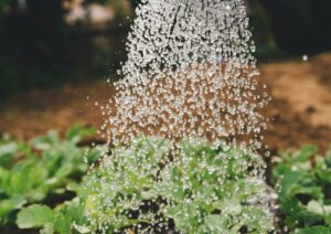 markus spiske sFydXGrt5OA unsplash scaled