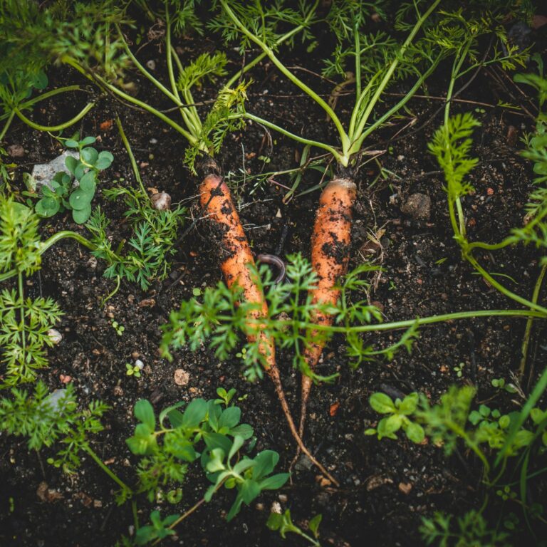 jonathan kemper znTn5VV0D4A unsplash scaled