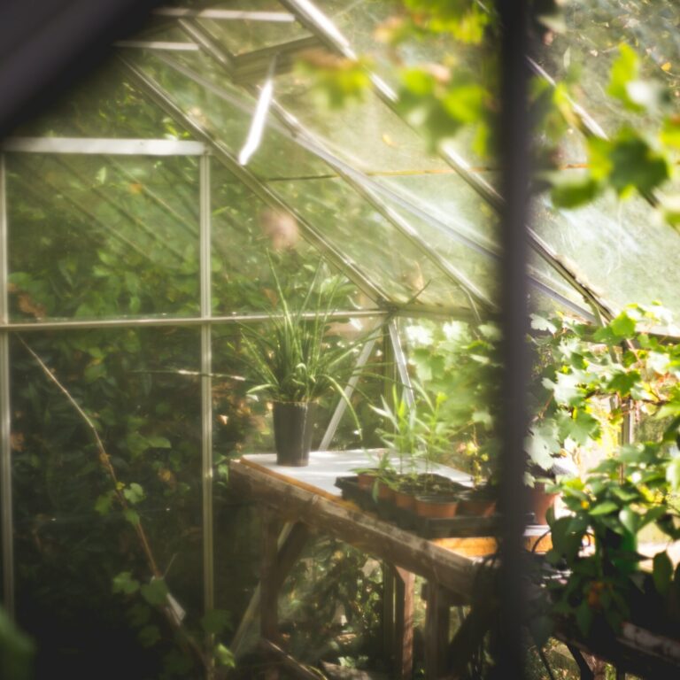 thomas verbruggen cVYLIzF6Gh0 unsplash scaled