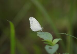 mizanudin VU36_txPUtw unsplash scaled