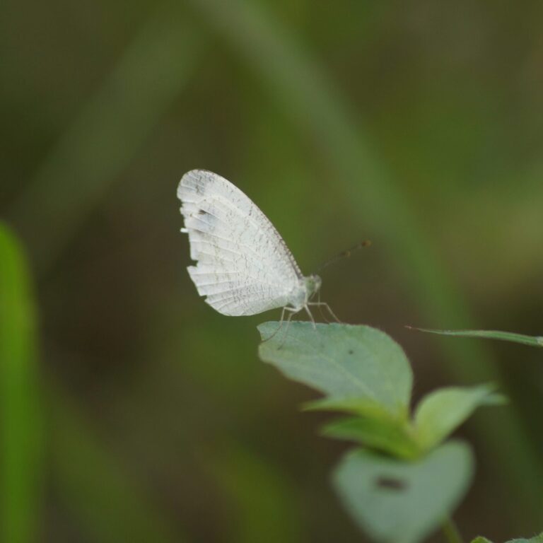 mizanudin VU36_txPUtw unsplash scaled
