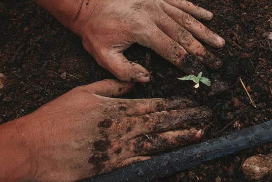 greenforce staffing bYZn_C RswQ unsplash scaled