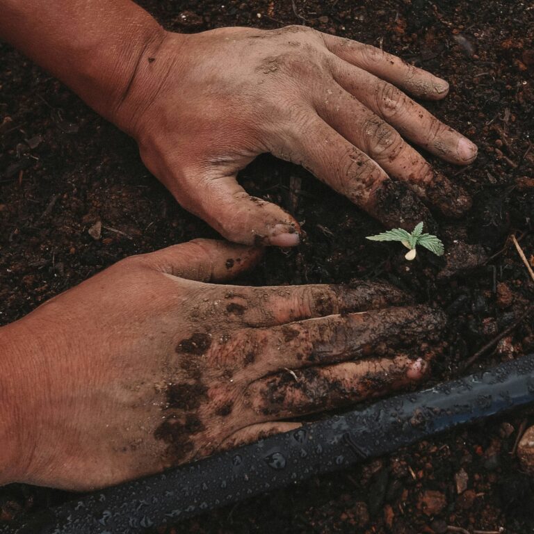 greenforce staffing bYZn_C RswQ unsplash scaled