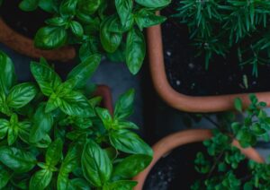 markus spiske 6hDDnisCRMk unsplash scaled