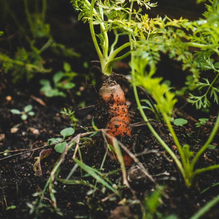 jonathan kemper La8Y09cg_yo unsplash scaled