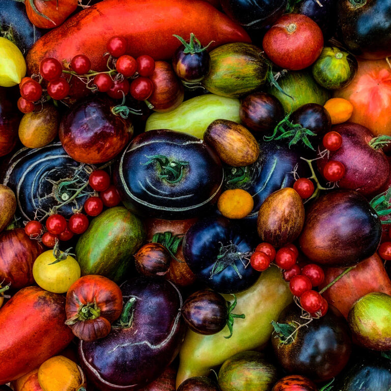 52C499F7 2E17 4AAD 9F7D 66B4A7F45328 2