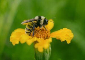 beau carpenter JcuTmnMAD7I unsplash scaled e1753104827680