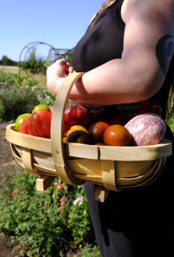 Garden 032 LAH 2025 web _DSF6059 scaled