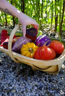 Garden 033 LAH 2025 web _DSF6051 scaled