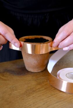 Garden 123 LAH 2025 web _DSF6134 scaled