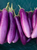 Aubergine Lilac Wand