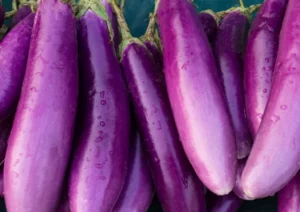 Aubergine Lilac Wand