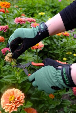 Garden 078 LAH 2025 web_DSF7216 scaled