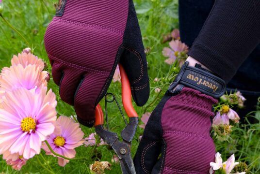 Garden 079 LAH 2025 web_DSF7221 scaled